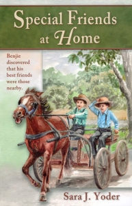 Special Friends at Home by Sara J. Yoder Special Friends at Home