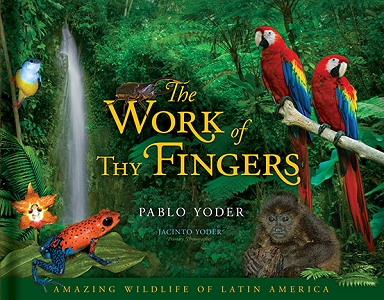 [The Work of Thy Fingers (by Pablo Yoder)]